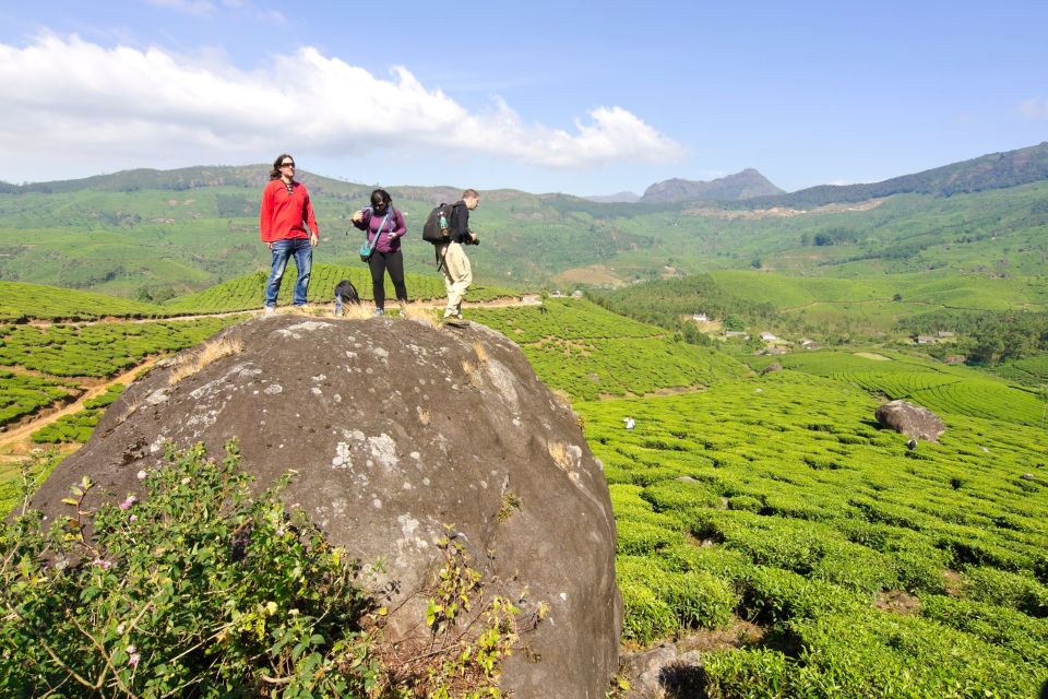 From Kochi: Munnar & Tea Museum Private Guided Tour - Key Points