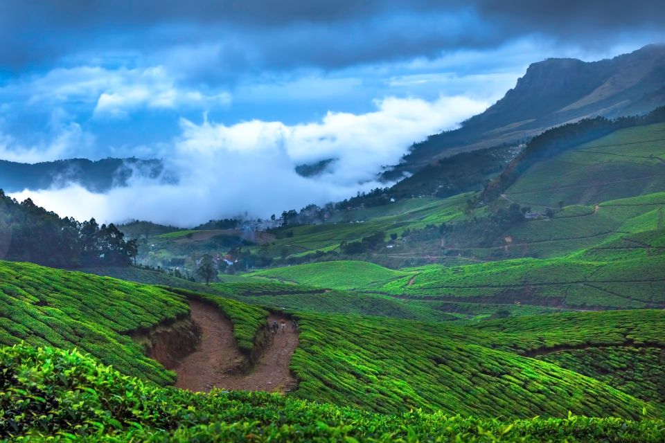 From Kochi: Munnar & Tea Museum Private Guided Tour - Itinerary Highlights