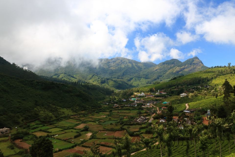 From Kochi: Munnar & Tea Museum Private Guided Tour - Booking and Cancellation Policy