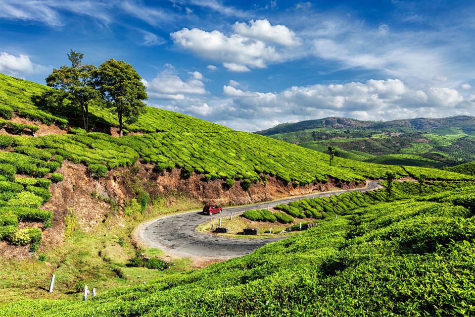 From Kochi: Munnar & Tea Museum Private Guided Tour - Tips for a Great Experience