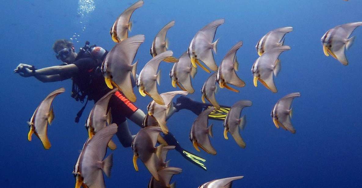 From Koh Kood: Certified Dive Trip - Exclusions and Limitations