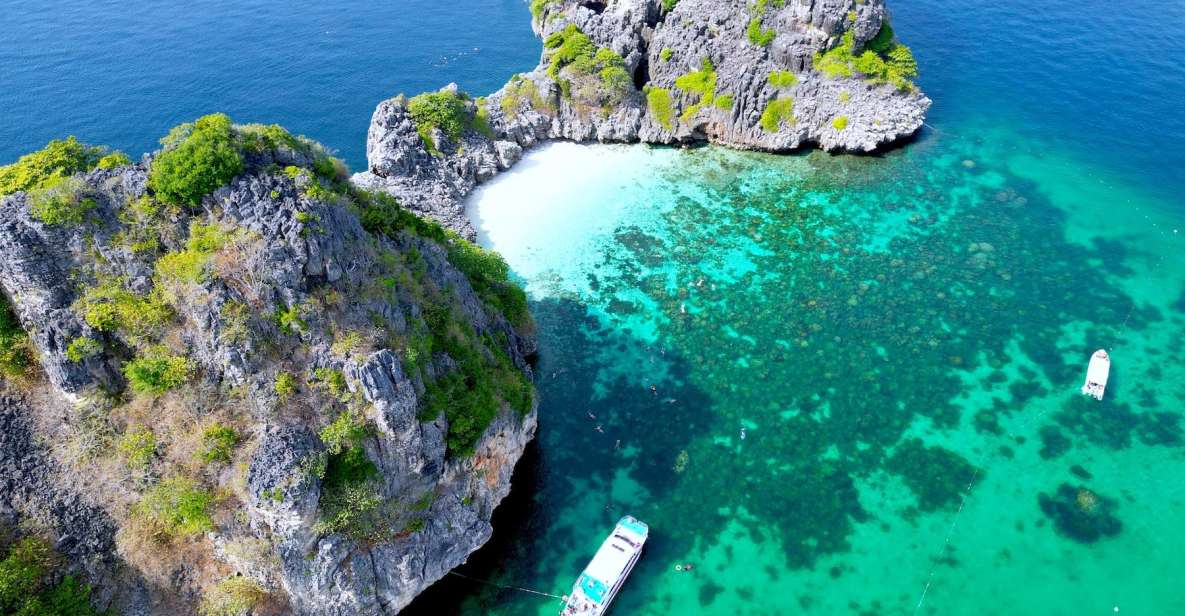 From Koh Lanta: Koh Haa & Koh Rok Snorkel Tour by Speedboat - Key Points