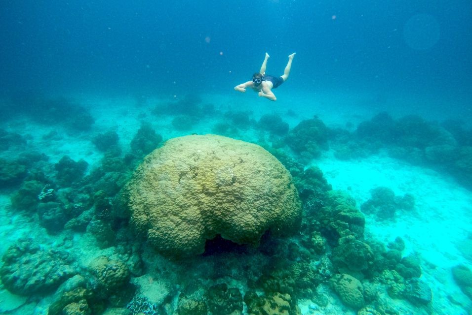From Koh Lanta: Koh Haa & Koh Rok Snorkel Tour by Speedboat - Frequently Asked Questions