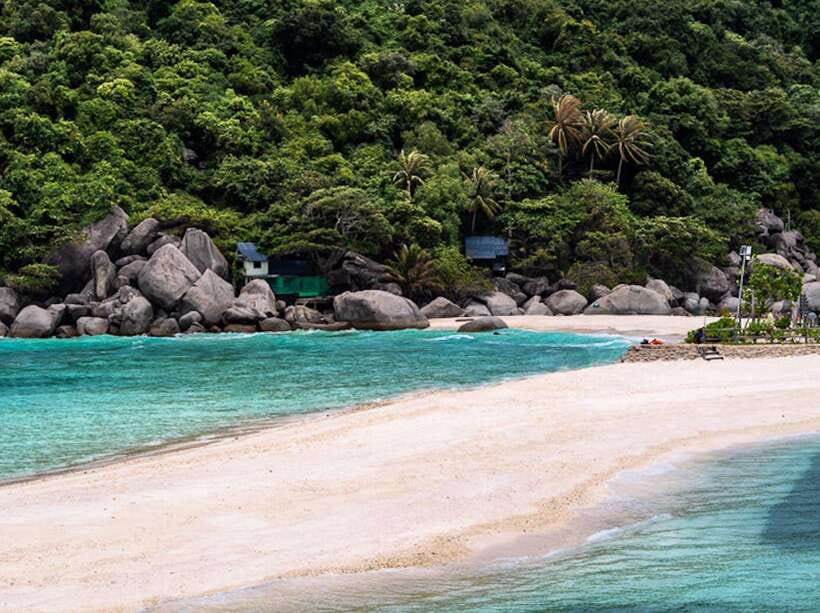 From Koh Samui: Private Speedboat Tour to Koh Tao & Nangyuan - Tour Overview and Pricing