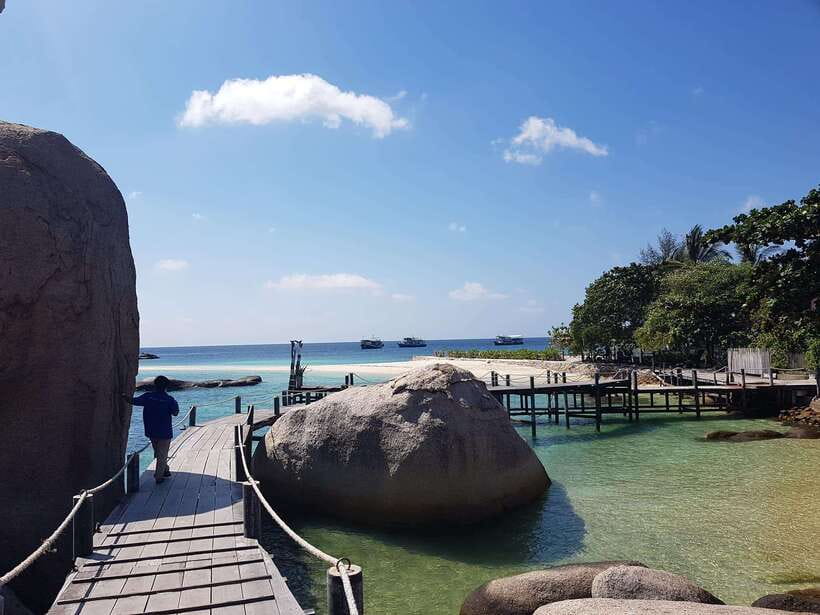 From Koh Samui: Private Speedboat Tour to Koh Tao & Nangyuan - Exploring Secluded Beaches