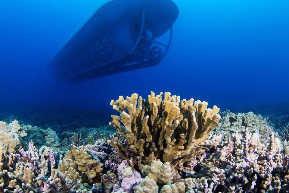 From Kona: Big Island Underwater Submarine Adventure - Exploring the Kona Coastline