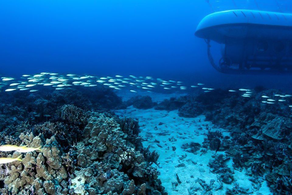 From Kona: Big Island Underwater Submarine Adventure - Health and Safety Measures