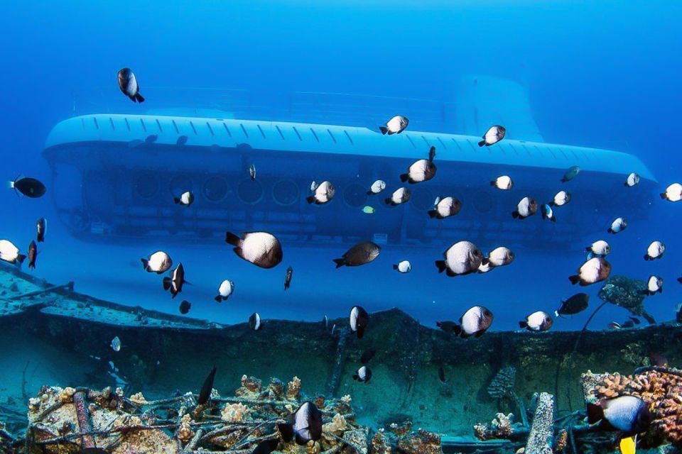 From Kona: Big Island Underwater Submarine Adventure - Booking and Cancellation Policy