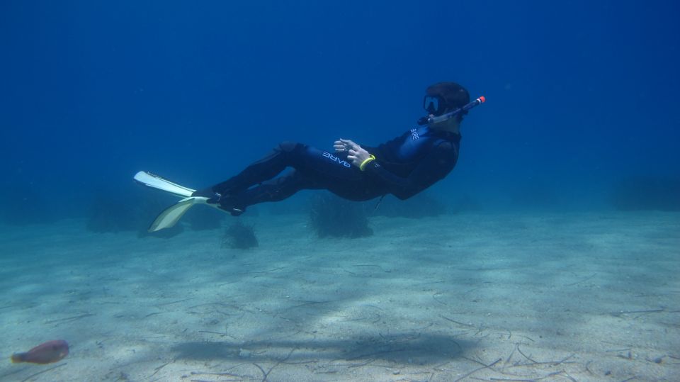 From Kos: Pserimos Island Snorkeling Cruise by Diving Boat - What to Expect on Your Pserimos Island Snorkeling Cruise