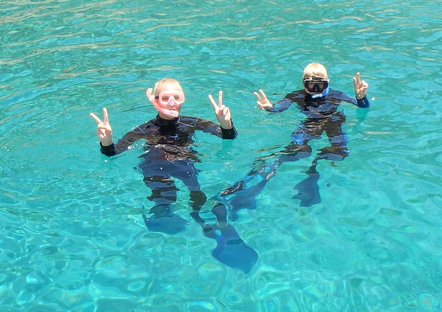 From Kos: Pserimos Island Snorkeling Cruise by Diving Boat - Who Will Love This Tour?