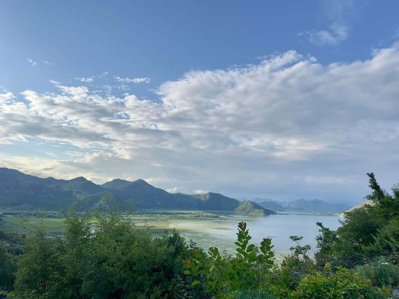 From Kotor and Tivat: Private Tour to Skadar Lake - Discovering Montenegro’s Natural and Cultural Treasures