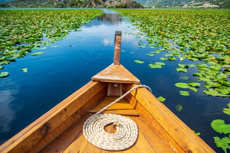 From Kotor, Budva, Tivat: Skadar Lake Boat Tour & Wine - Who This Tour Is Ideal For