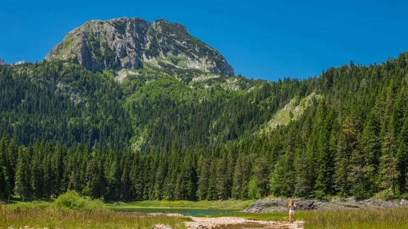 From Kotor: Hiking Day Trip in Durmitor Massif & Dining - The Sum Up