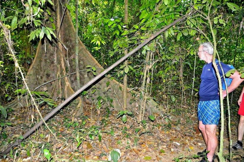From Krabi: 1-Day Khao Sok & 2-Day Cheow Lan Lake Safari - Key Points