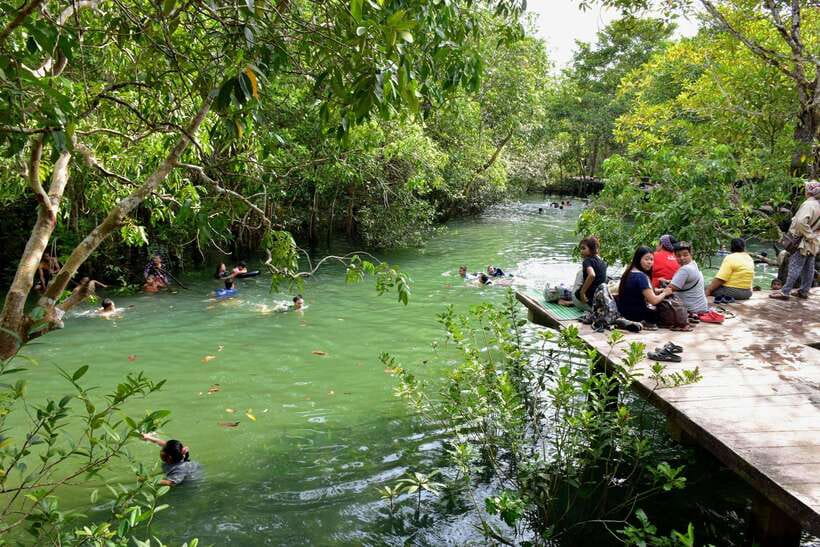 From Krabi: 2-Day Cheow Lan Lake With Overnight Raft Stay - Key Points
