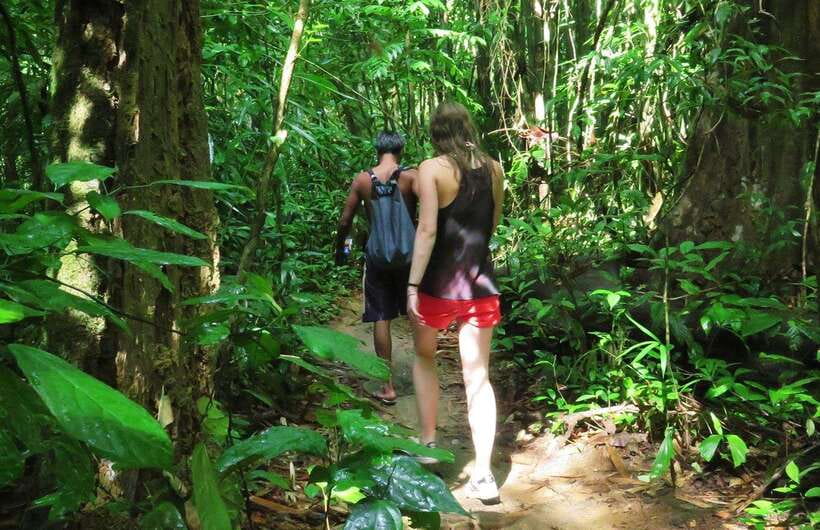 From Krabi: 2-Day Khao Sok Jungle Safari With Overnight Stay - Important Considerations
