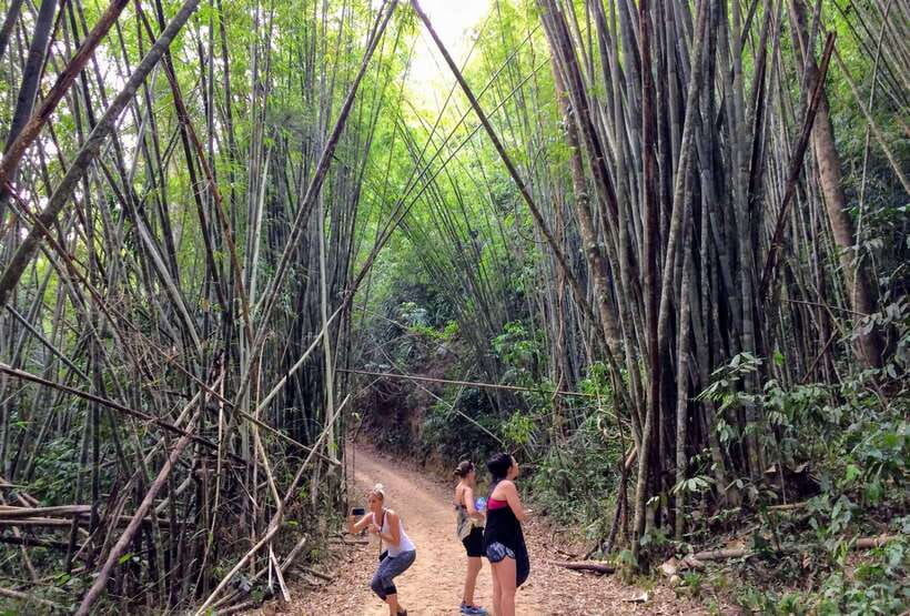 From Krabi: 2-Day Khao Sok Jungle Safari With Overnight Stay - Accommodation Details