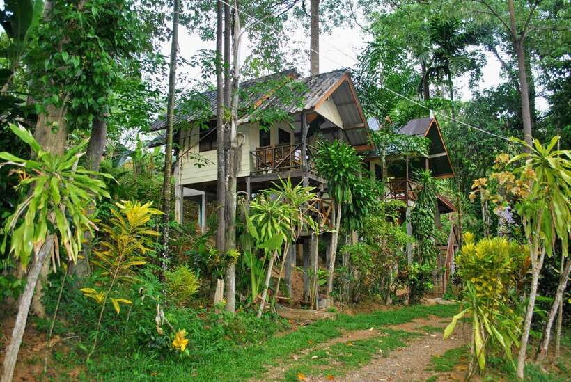 From Krabi: 2-Day Khao Sok Jungle Safari With Overnight Stay - Seasonal Variations