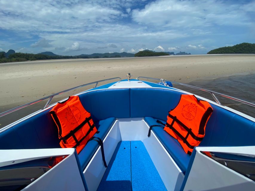 From Krabi: Phi Phi Island Full-Day Private Speed Boat Tour - Suitability and Restrictions