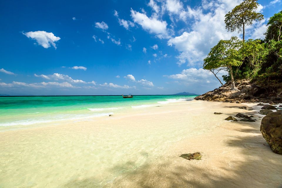 From Krabi: Phi Phi Islands Speedboat Day Tour - Key Highlights