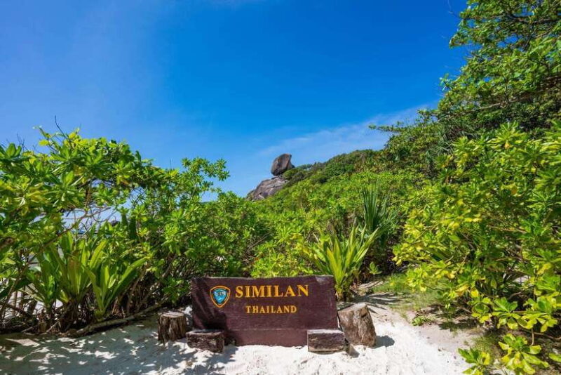 From Krabi: Similan Islands Day Trip by Speedboat - Inclusions and Exclusions
