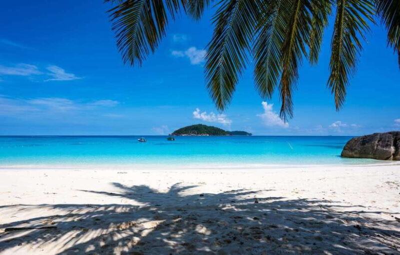 From Krabi: Similan Islands Day Trip by Speedboat - Vegetarian Accommodation