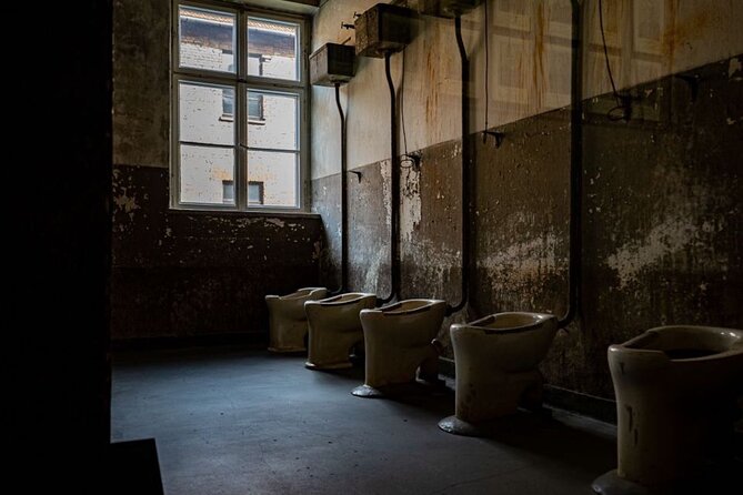 From Krakow: Auschwitz-Birkenau Full-Day Tour - Since You Asked