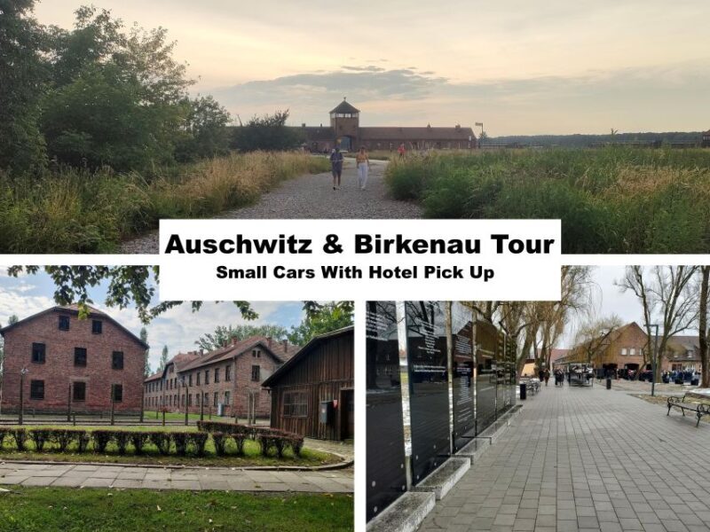 From Krakow: Auschwitz-Birkenau Guided Full-Day Tour - Key Points