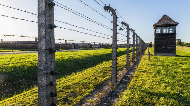 From Krakow: Auschwitz-Birkenau Guided Tour Guaranteed Time - Key Points