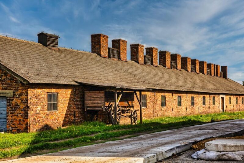 From Krakow: Auschwitz-Birkenau Guided Tour & Transport - Key Points