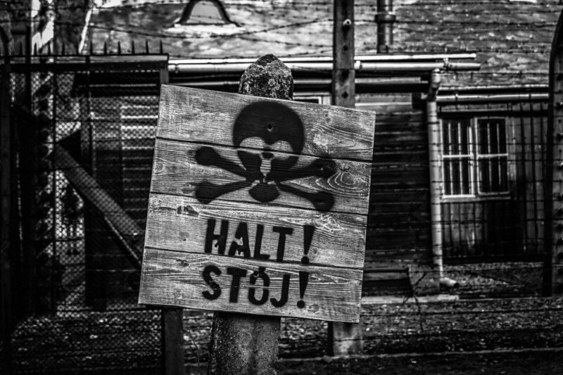 From Krakow: Auschwitz-Birkenau Guided Tour & Transport - Authentic Stories from Reviews