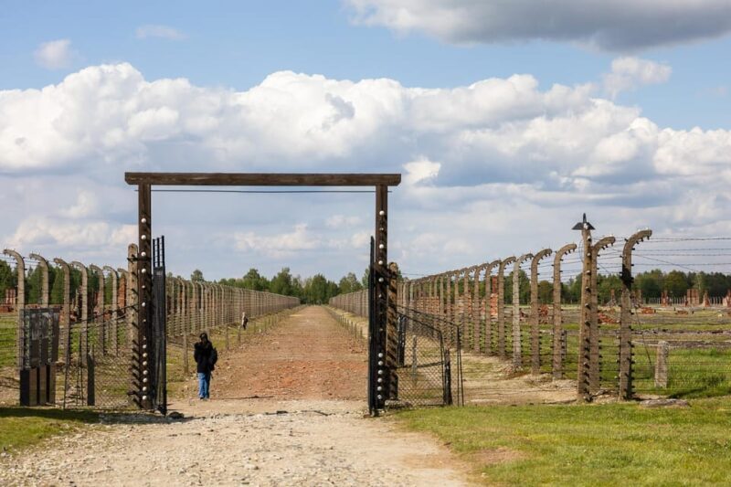 From Krakow: Auschwitz-Birkenau Guided Tour with Transport - Who Should Take This Tour?
