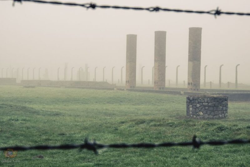 From Krakow: Auschwitz-Birkenau Tour with Transfer - The Experience’s Strengths and Considerations