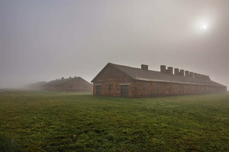 From Krakow: Auschwitz-Birkenau Tour with Transfer - Who Should Consider This Tour?