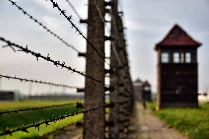 From Krakow: Auschwitz-Birkenau Tour with Transfer - The Sum Up
