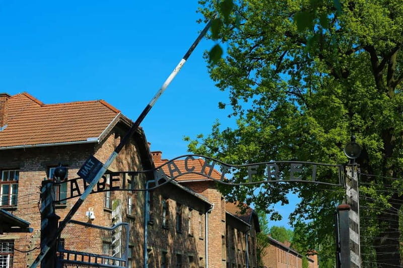 From Krakow: Auschwitz Museum and Wieliczka Salt Mine Tour - What’s Included and What to Keep in Mind
