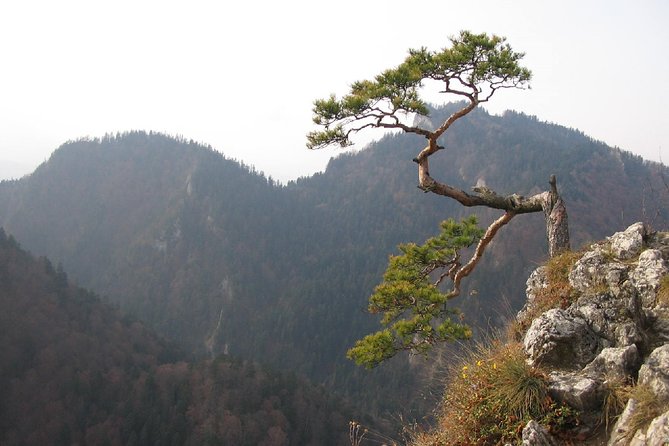 From Krakow: Dunajec Pontoon Rafting Trip - Meeting and Pickup