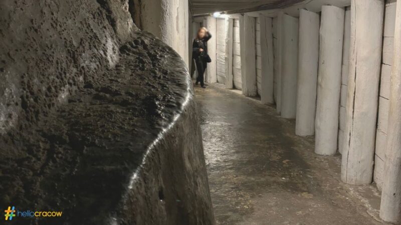 From Krakow: Guided Tour in Wieliczka Salt Mine - Who Should Consider This Tour?