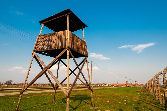 From Krakow: Live Guided Tour Auschwitz-Birkenau - Inclusions