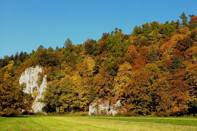 From Krakow: Ojcow National Park and Pieskowa Skala Castle - Inclusions and Transportation