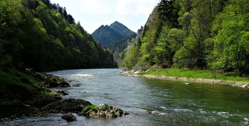 From Krakow: Rafting on Dunajec River Full-Day Trip - Key Points