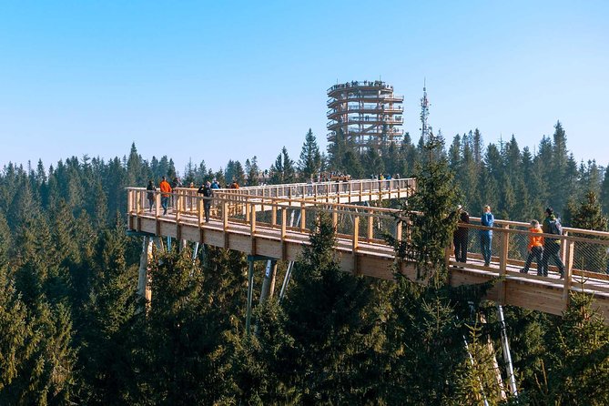 From Krakow: Slovakia Treetop Walk Bachledka and Zakopane - Tour Exclusions
