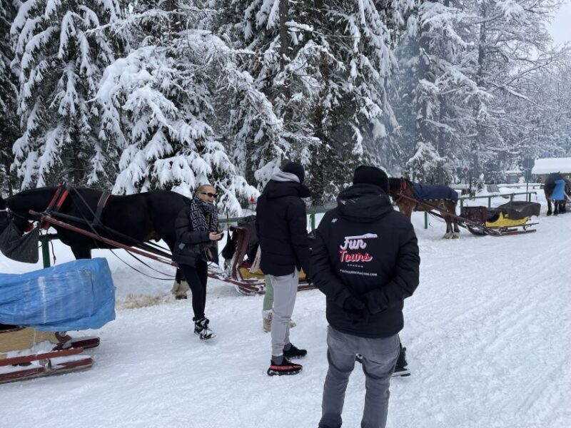 From Krakow: Snowmobile, Zakopane & Chochoowskie Baths - Final Word