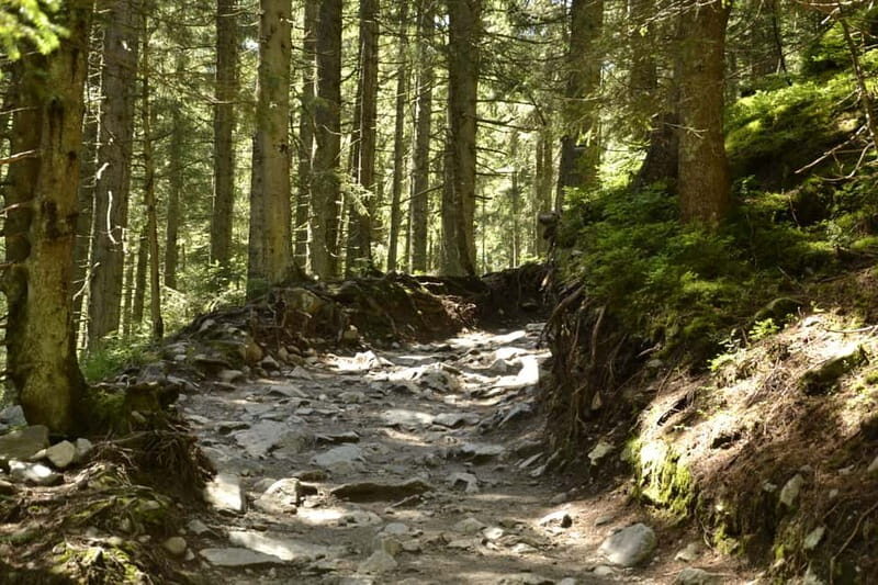From Krakow: Zakopane and Tatra Mountains Full-Day Trip - Exploring the Route and Stops  
