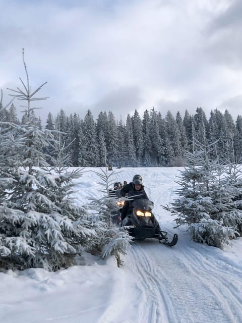 From Krakow: Zakopane Snowmobile NIGHT Ride, Bonfire, - Practical Tips for Travelers  