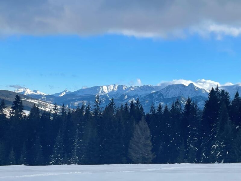 From Krakow: Zakopane Snowmobile NIGHT Ride, Bonfire, - Final Thoughts  