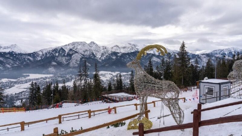 From Krakow: Zakopane + Thermal Baths - Price and Overall Value