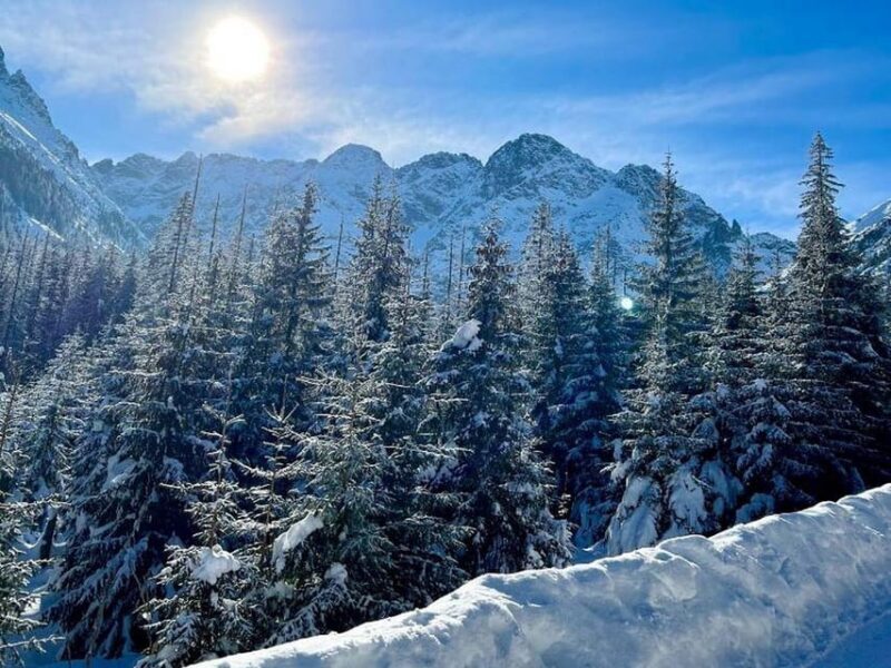From Krakow: Zakopane Tour with Thermal Spa & Hotel Pickup - Transport and Comfort