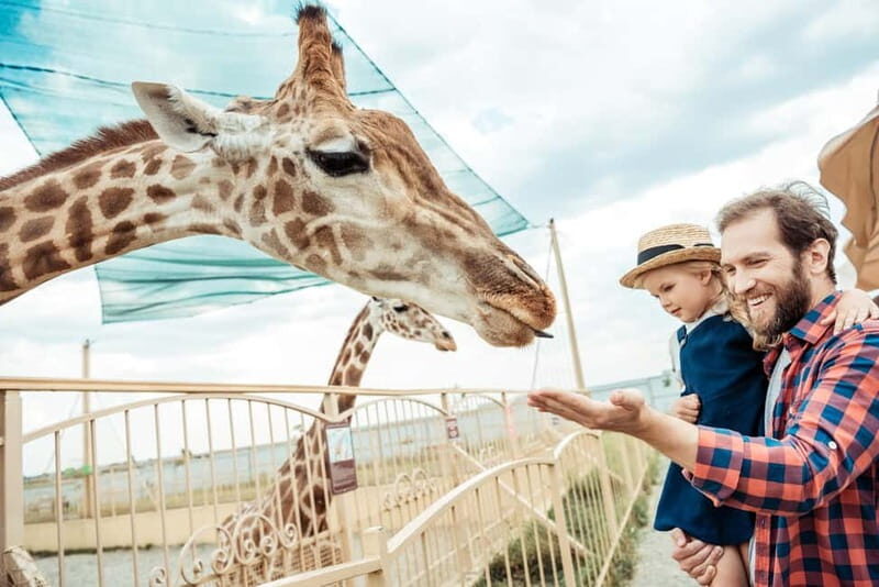 From Krakow: Zoo Trip with Private Luxury Transfer - An Honest Look at Krakow Zoo with Private Transfer