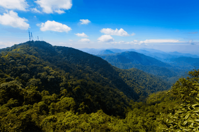 From Kuala Lumpur: Cameron Highlands and Batu Cave Tour - Cultural and Natural Attractions